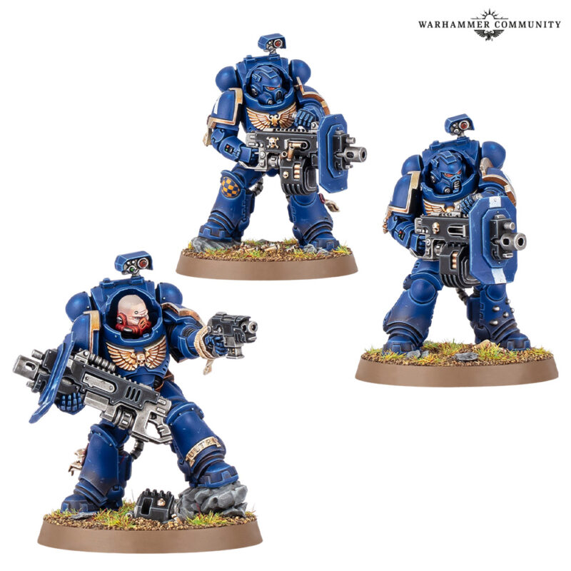 Space Marines: Erradicadores con bólteres pesados